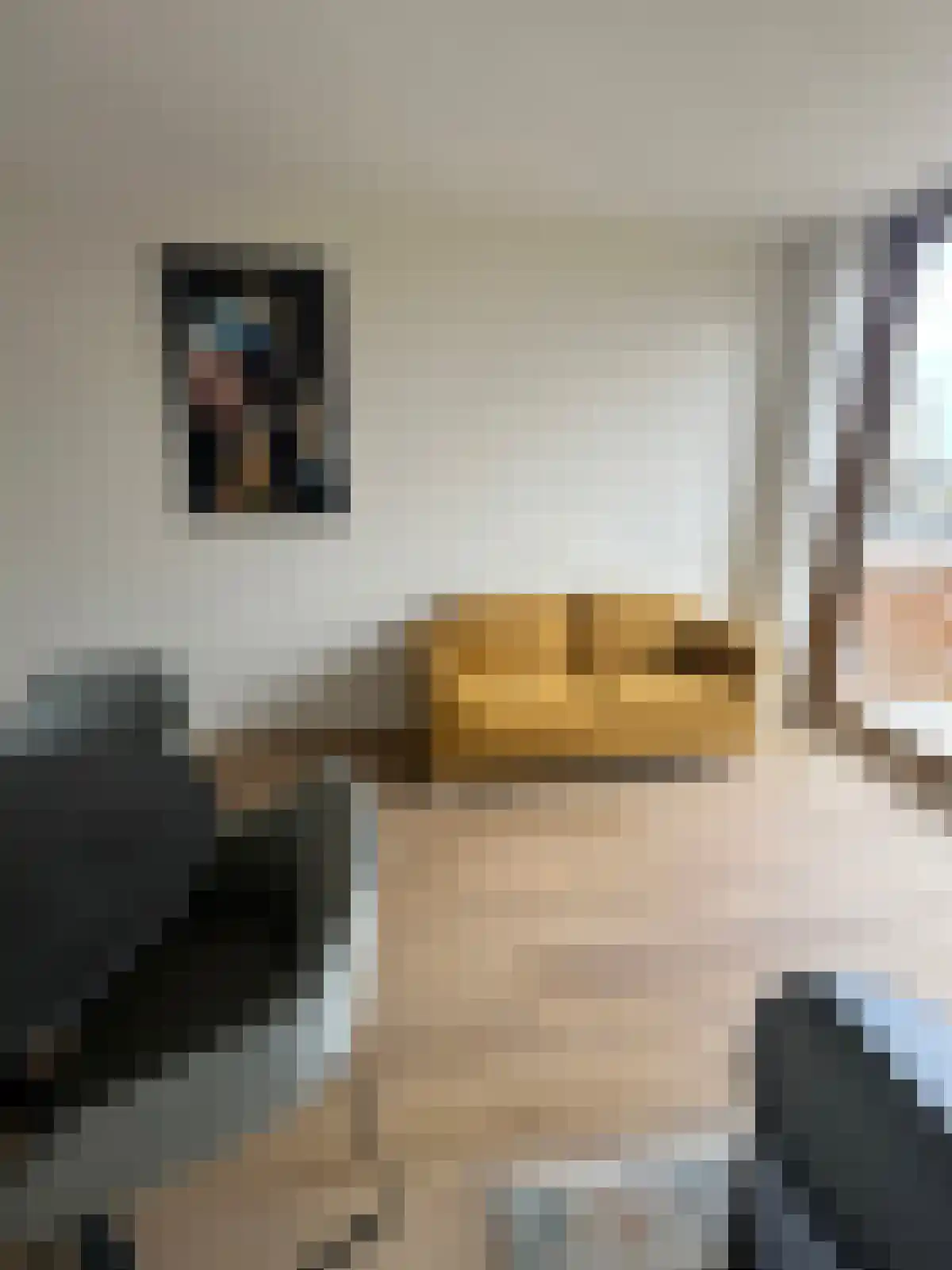 Rosmolenplein 17 Tilburg thumbnail 4