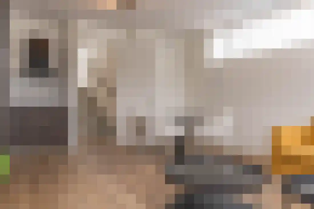 Rosmolenplein 20 Tilburg thumbnail 12