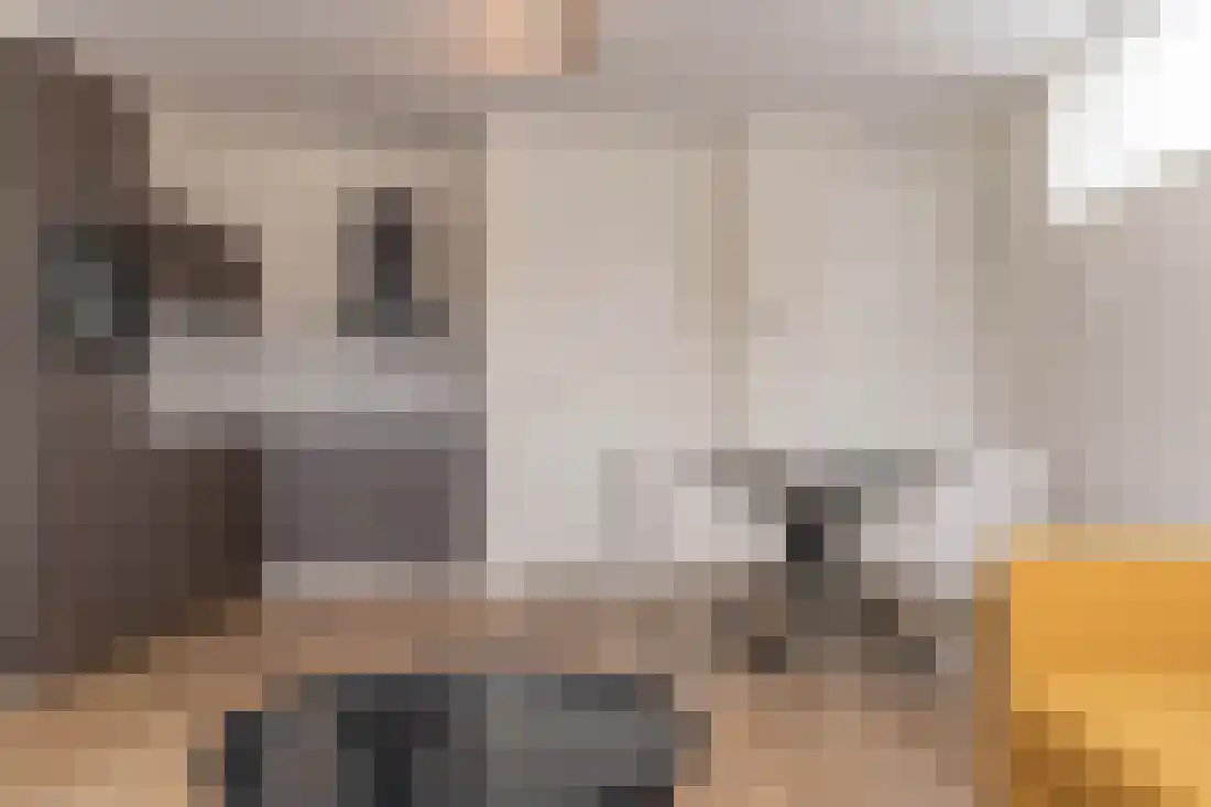 Rosmolenplein 20 Tilburg thumbnail 13
