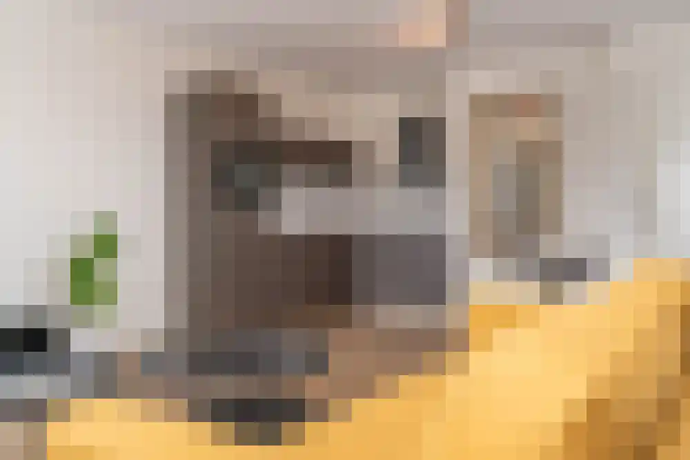 Rosmolenplein 20 Tilburg thumbnail 7