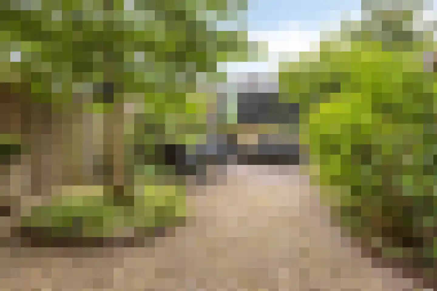 Rosmolenplein 21 Tilburg thumbnail 24