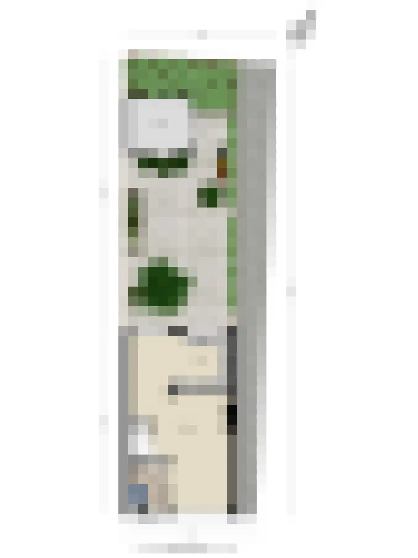 Rosmolenplein 21 Tilburg thumbnail 30