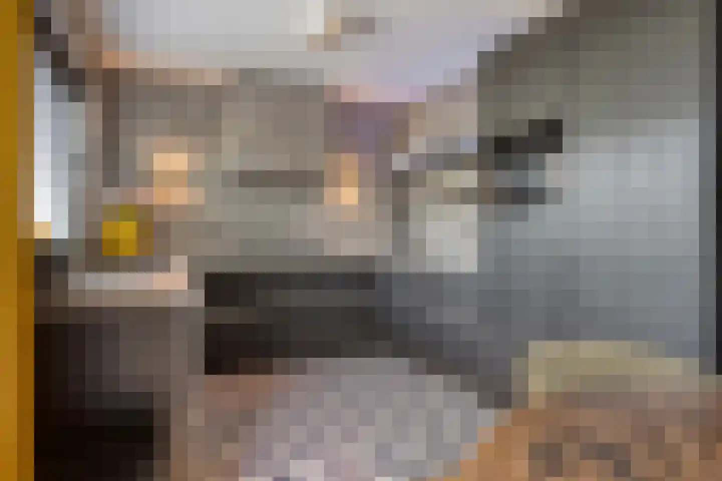 Rosmolenplein 21 Tilburg thumbnail 4