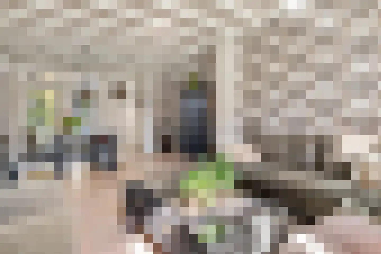 Rosmolenplein 32 Tilburg thumbnail 11