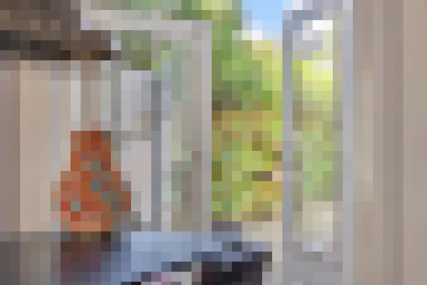 Rosmolenplein 32 Tilburg thumbnail 13