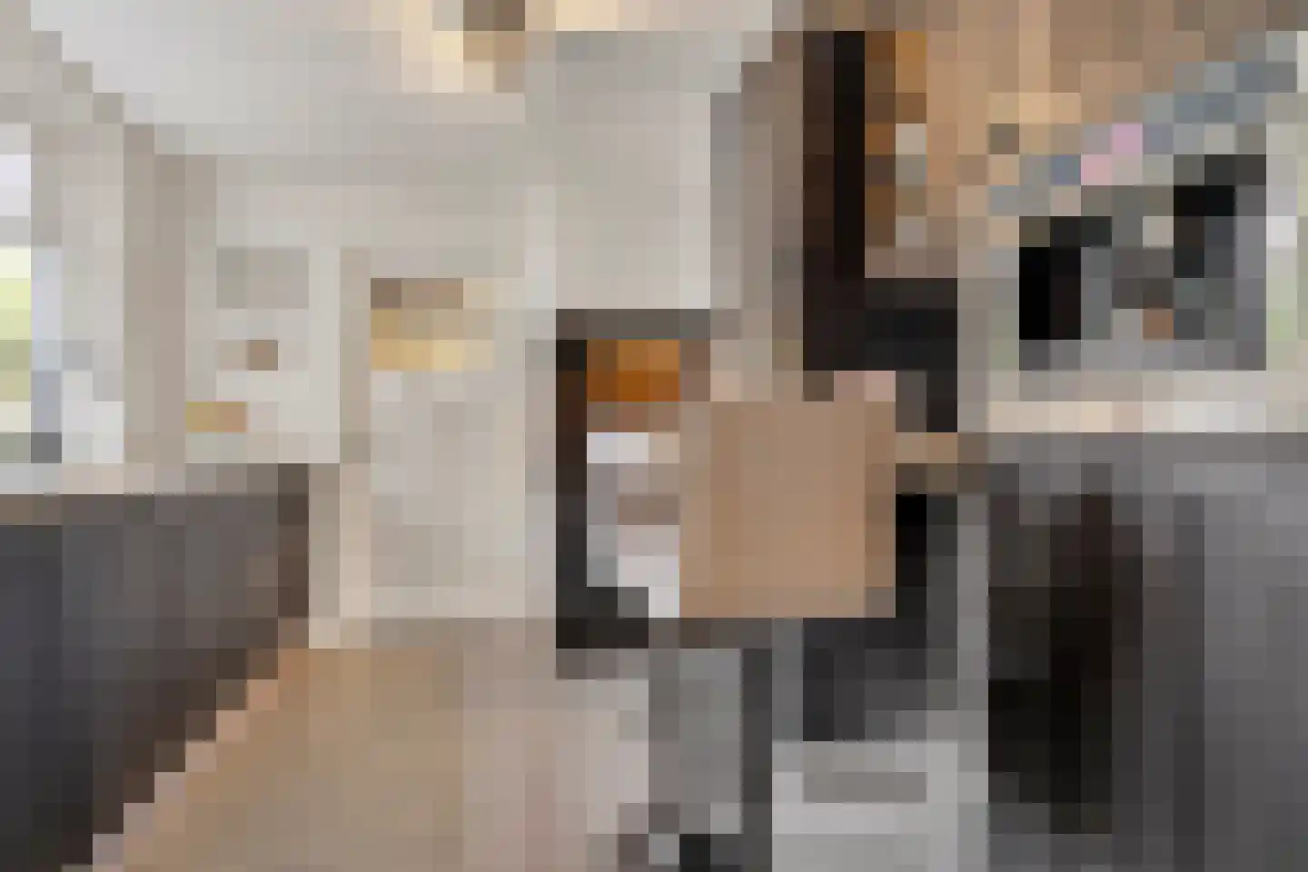 Rosmolenplein 32 Tilburg thumbnail 14
