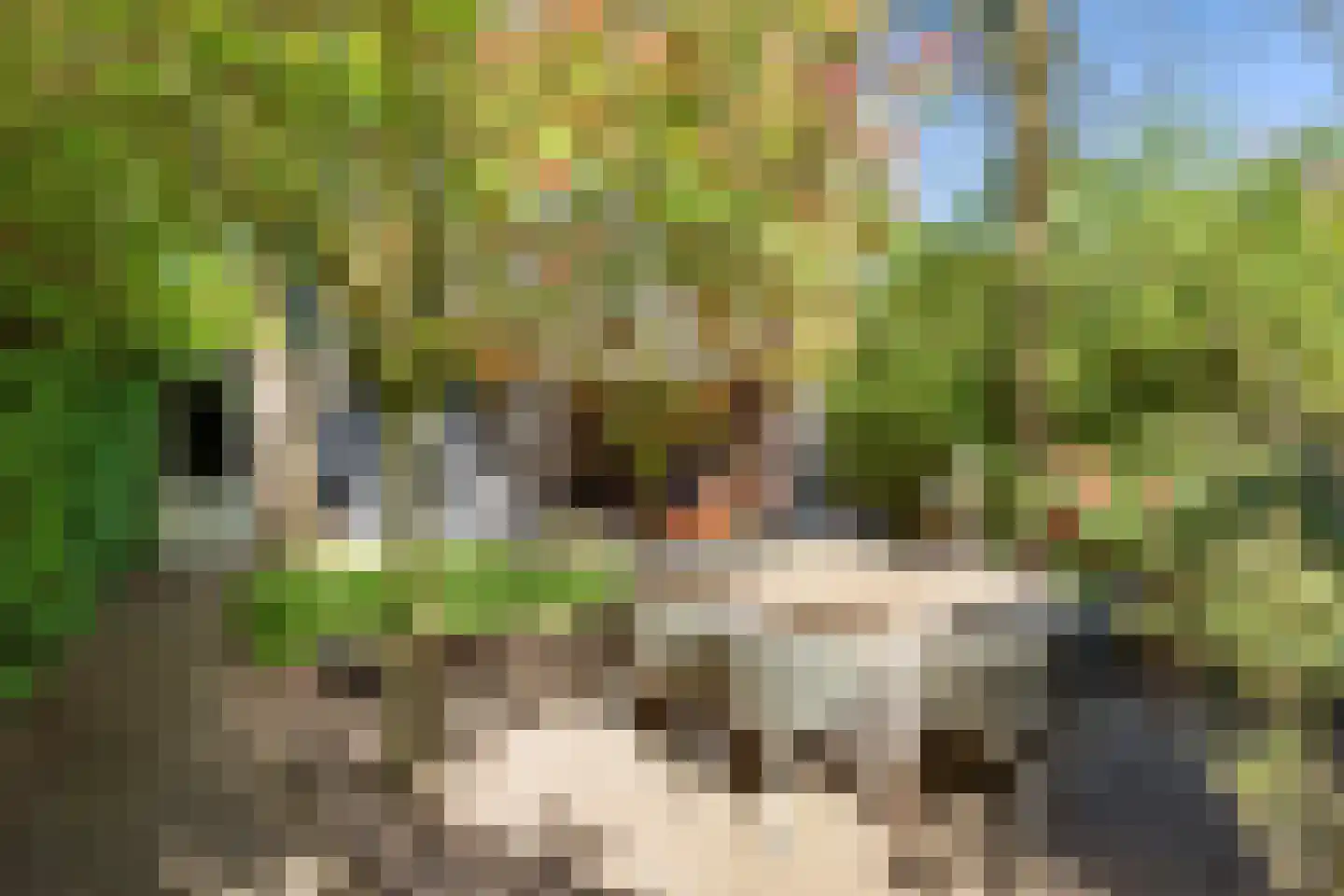 Rosmolenplein 32 Tilburg thumbnail 4