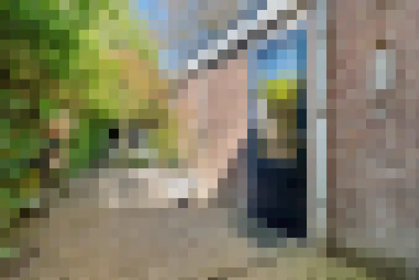 Rosmolenplein 32 Tilburg thumbnail 44