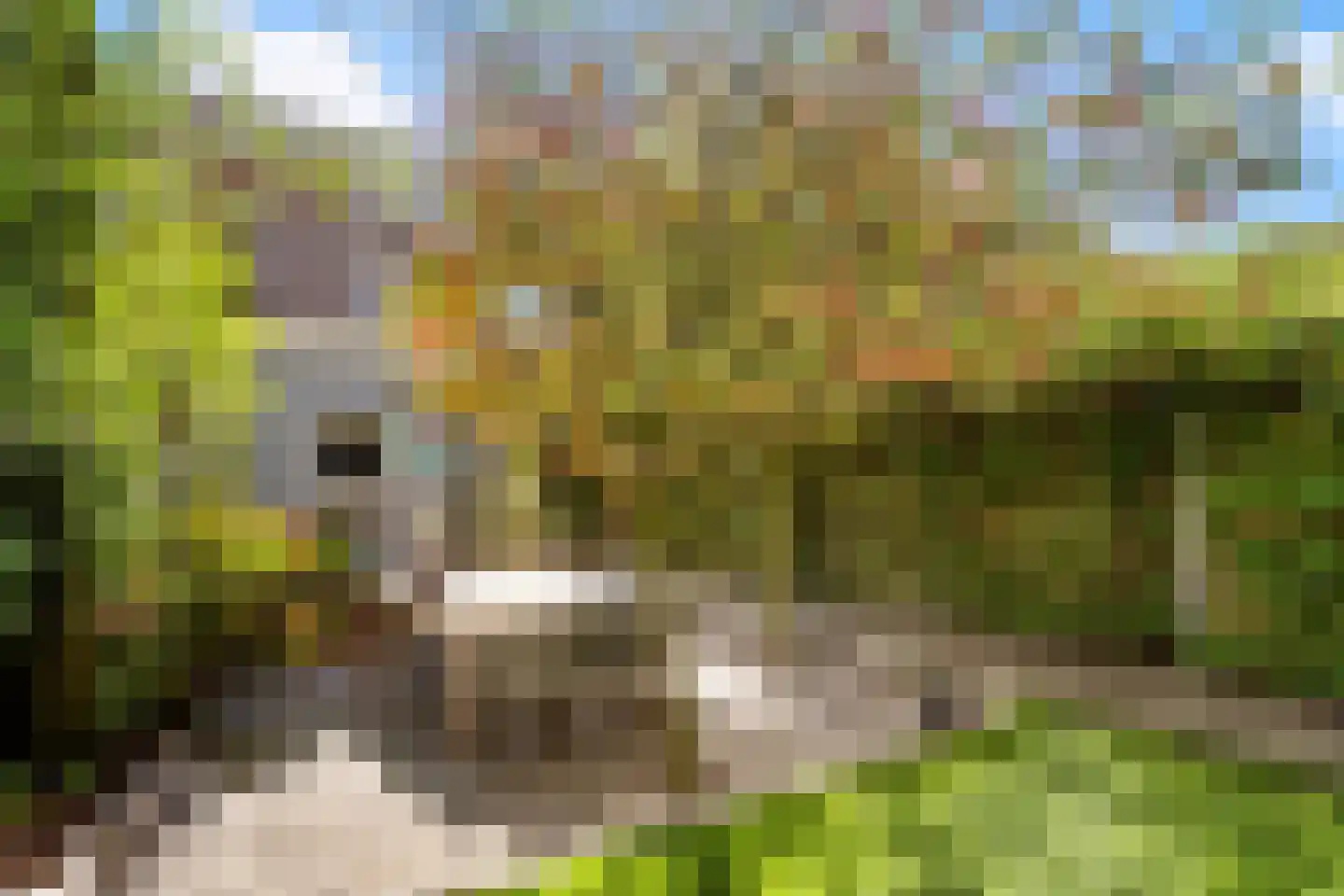 Rosmolenplein 32 Tilburg thumbnail 45