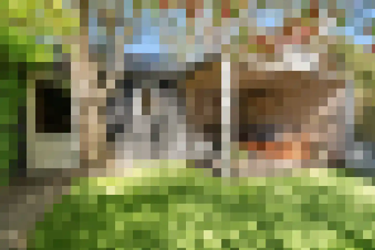 Rosmolenplein 32 Tilburg thumbnail 46