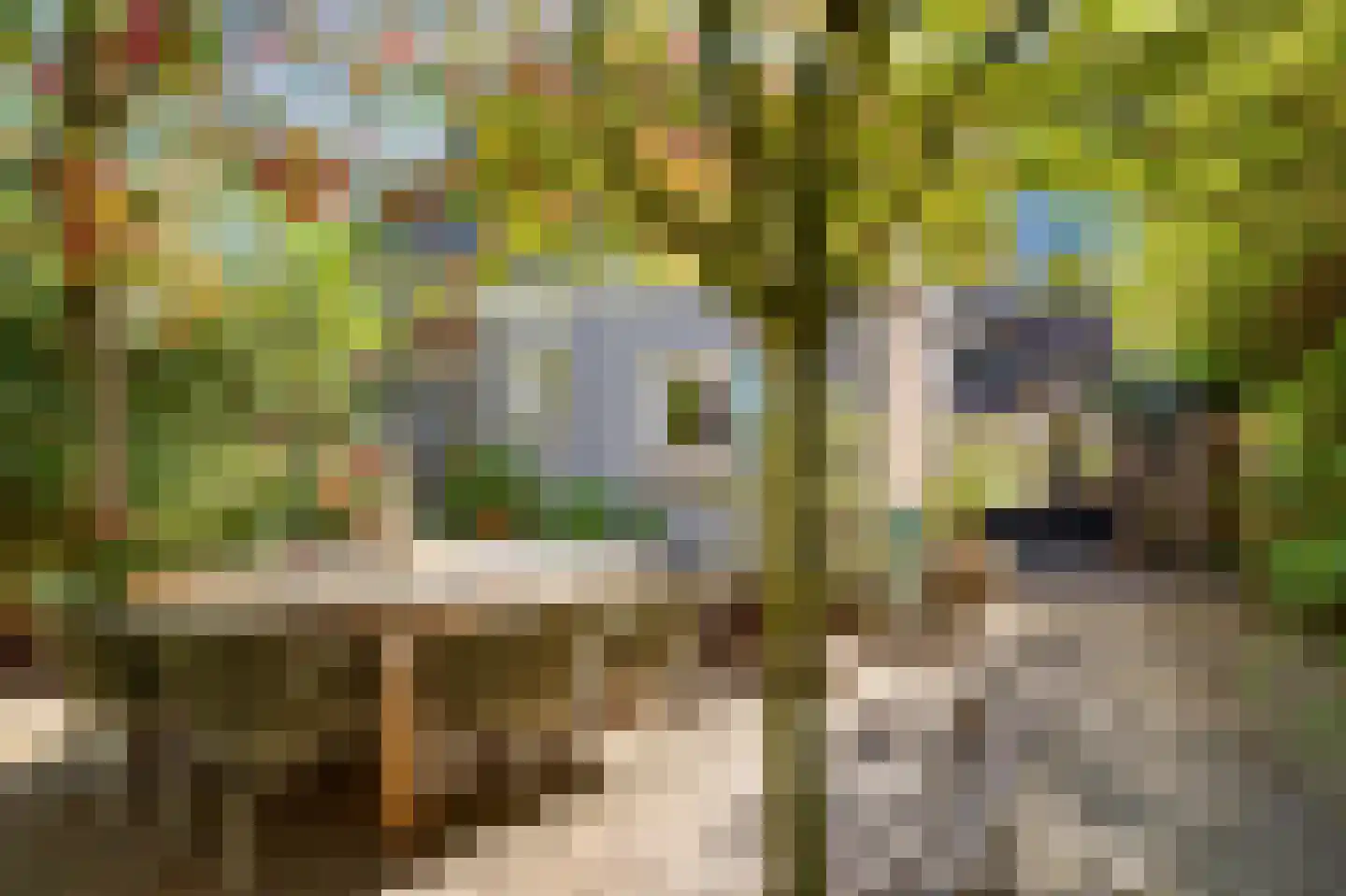 Rosmolenplein 32 Tilburg thumbnail 47