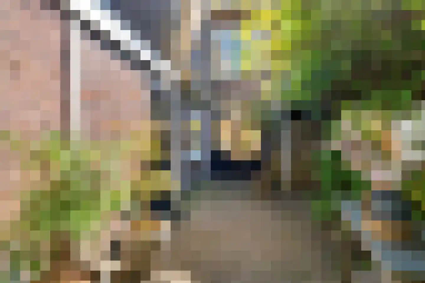Rosmolenplein 32 Tilburg thumbnail 49