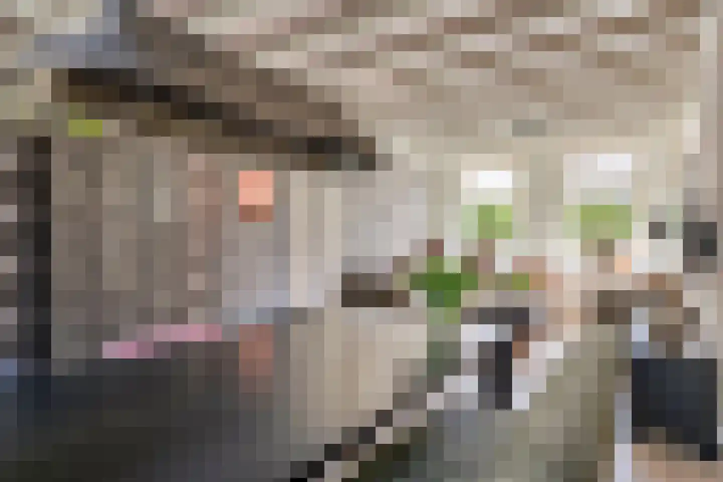 Rosmolenplein 32 Tilburg thumbnail 8