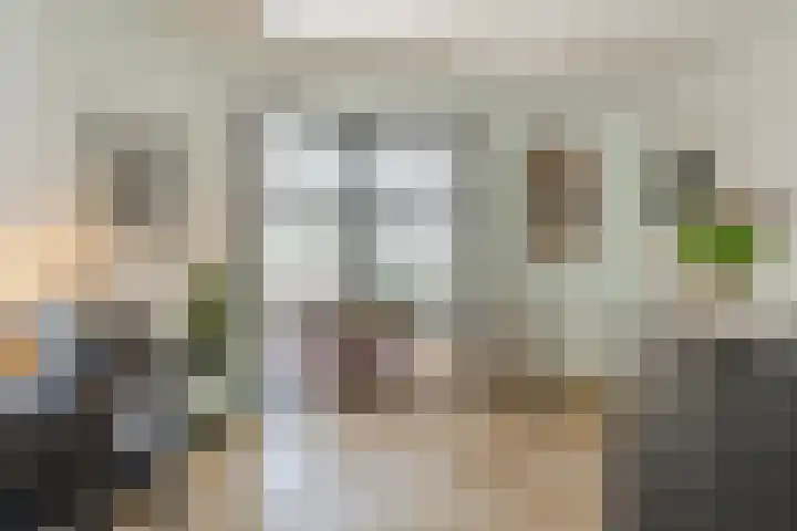 Rosmolenplein 34 Tilburg thumbnail 10