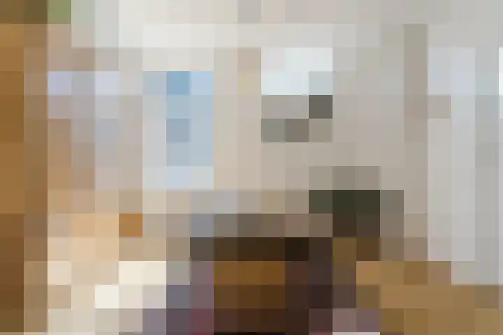 Rosmolenplein 34 Tilburg thumbnail 12