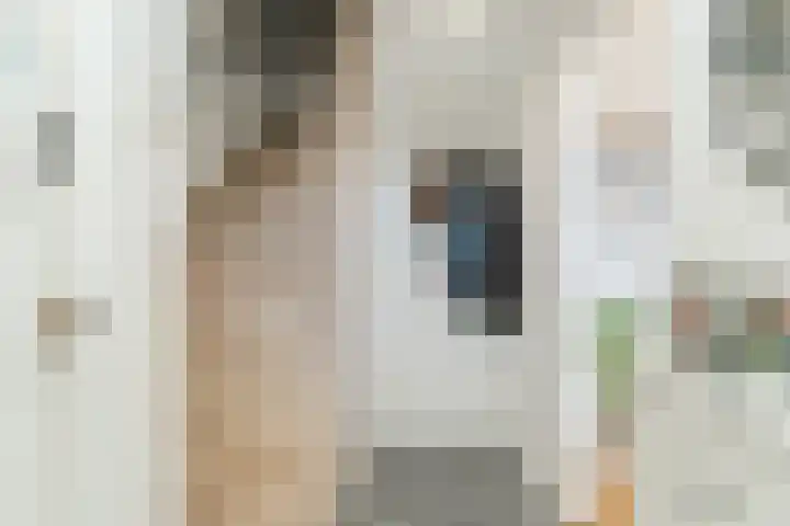 Rosmolenplein 34 Tilburg thumbnail 18