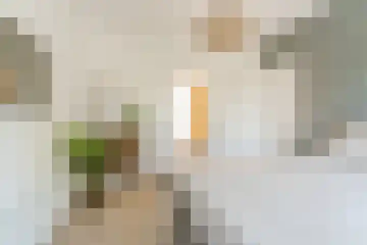 Rosmolenplein 34 Tilburg thumbnail 26