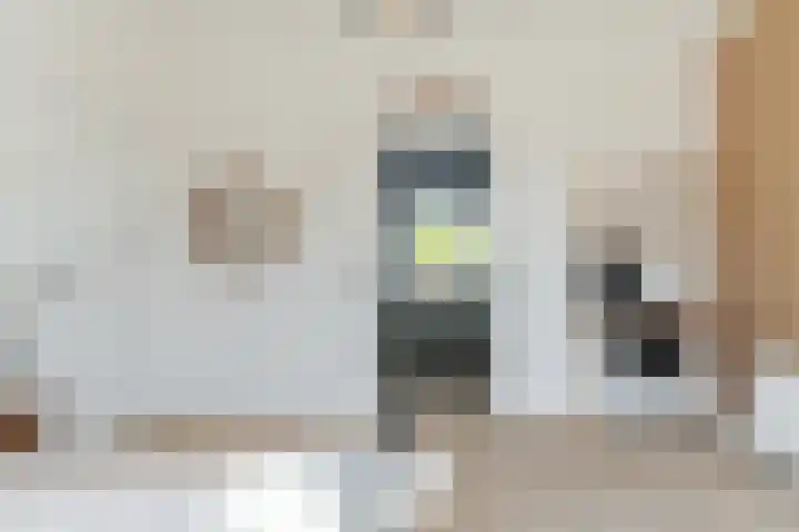 Rosmolenplein 34 Tilburg thumbnail 30