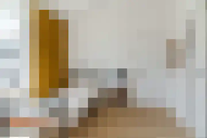 Rosmolenplein 34 Tilburg thumbnail 31
