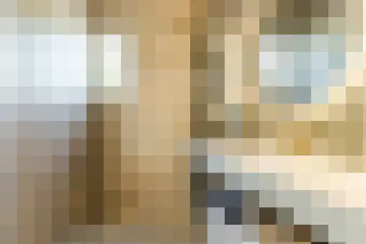 Rosmolenplein 34 Tilburg thumbnail 34