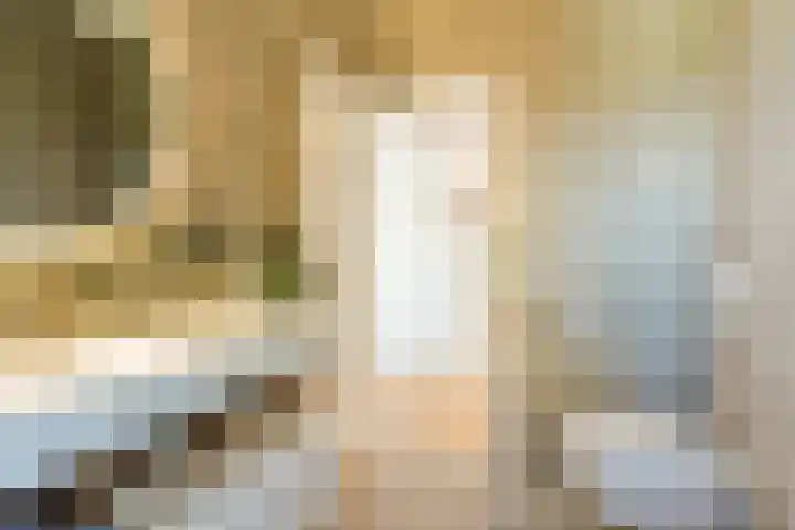 Rosmolenplein 34 Tilburg thumbnail 35