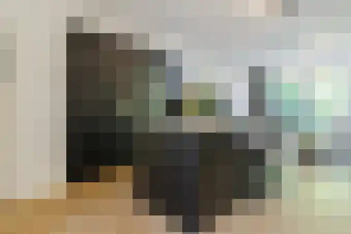 Rosmolenplein 34 Tilburg thumbnail 4