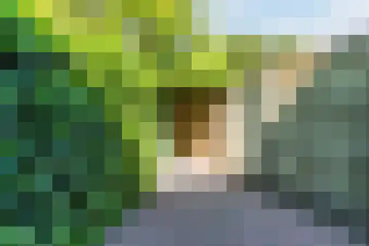Rosmolenplein 34 Tilburg thumbnail 43
