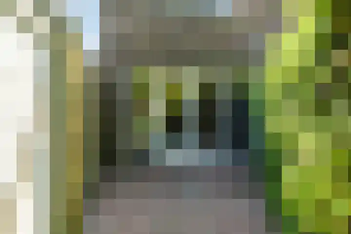 Rosmolenplein 34 Tilburg thumbnail 44