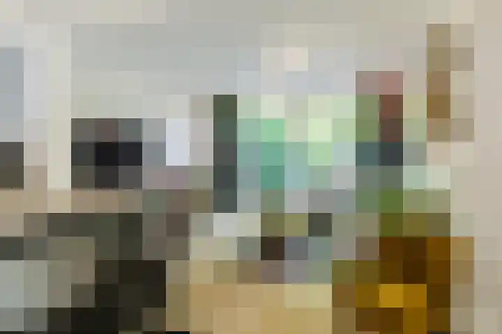 Rosmolenplein 34 Tilburg thumbnail 5