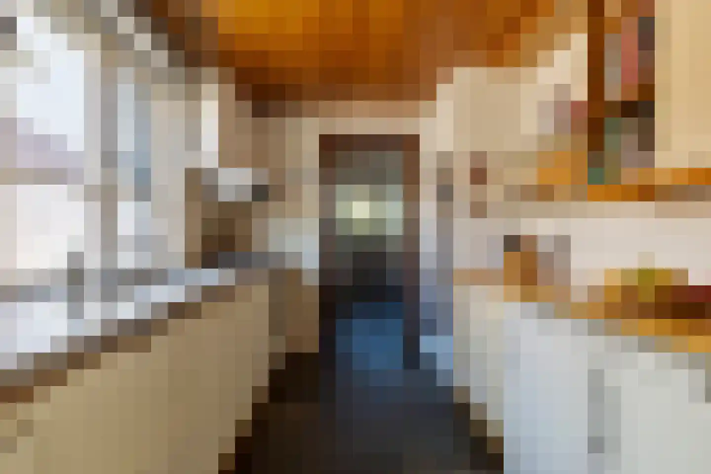 Rosmolenplein 35 Tilburg thumbnail 18