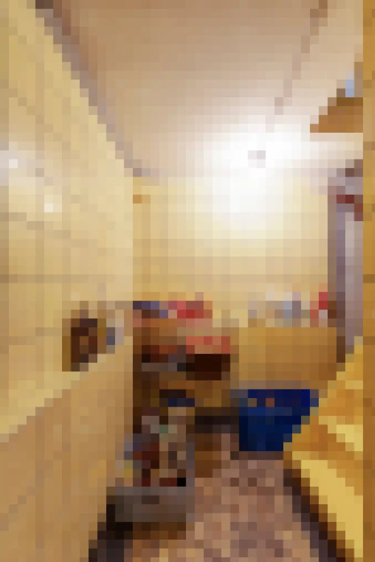 Rosmolenplein 35 Tilburg thumbnail 20