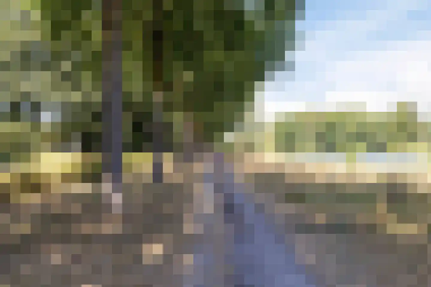 Rosmolenplein 35 Tilburg thumbnail 46