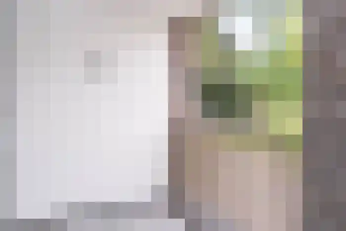 Rosmolenplein 4 Tilburg thumbnail 10