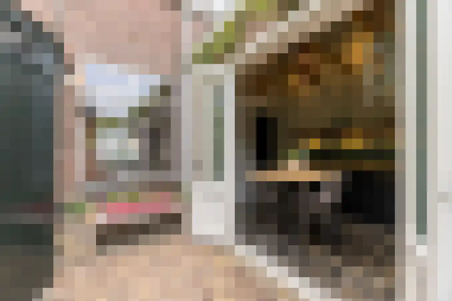 Rosmolenplein 44 Tilburg thumbnail 32