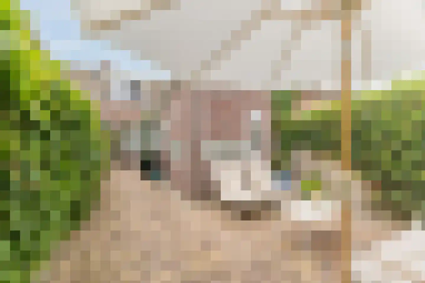 Rosmolenplein 44 Tilburg thumbnail 34