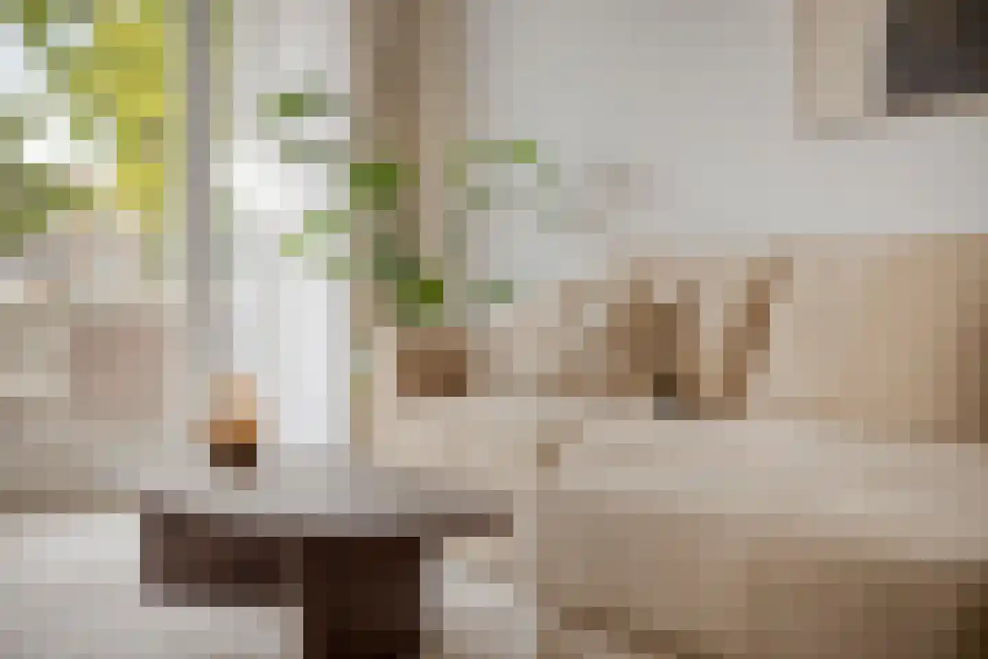 Rosmolenplein 61 Tilburg thumbnail 11