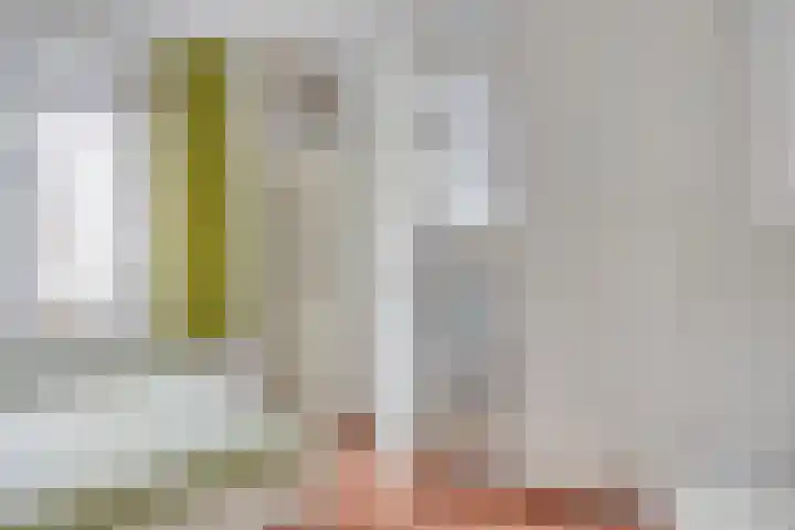 Rosmolenplein 61 Tilburg thumbnail 19
