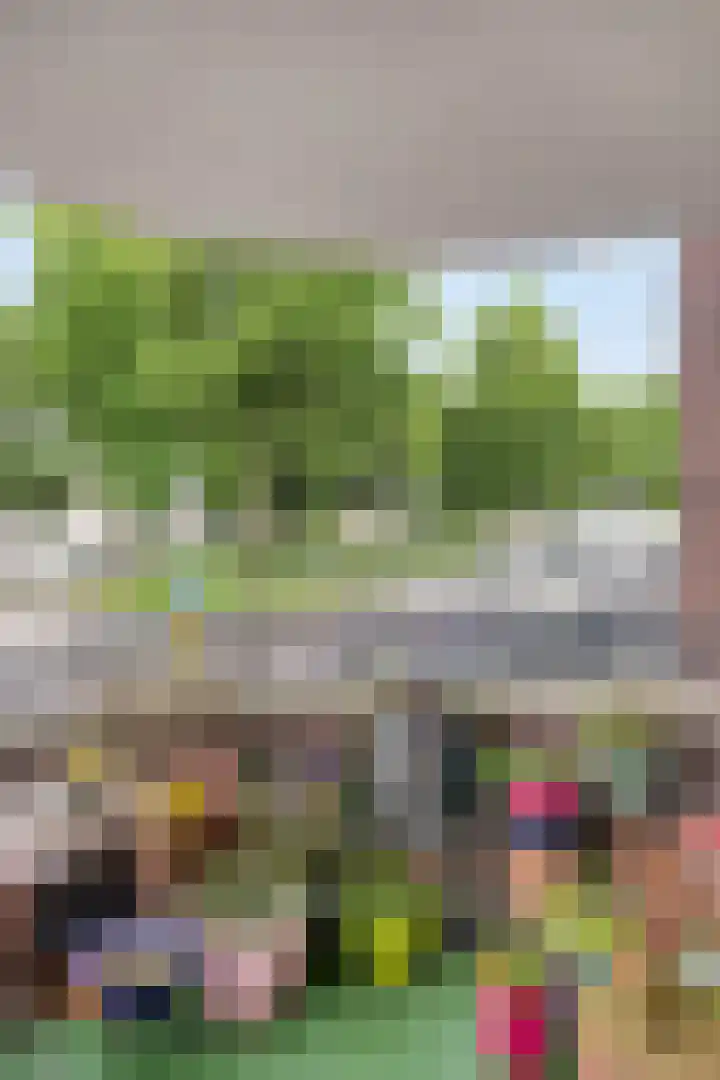 Rosmolenplein 61 Tilburg thumbnail 25