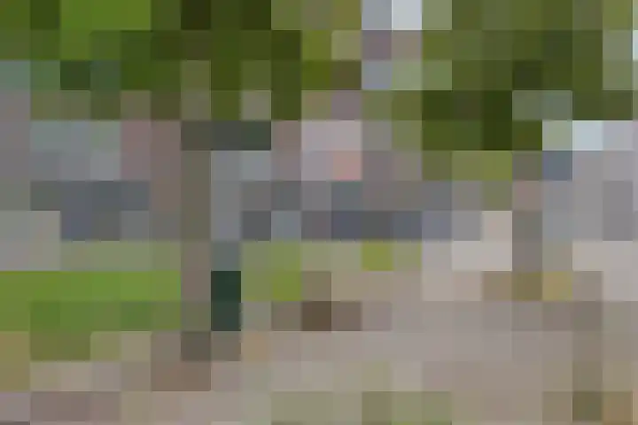 Rosmolenplein 61 Tilburg thumbnail 30