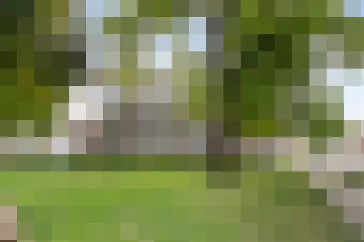 Rosmolenplein 61 Tilburg thumbnail 34