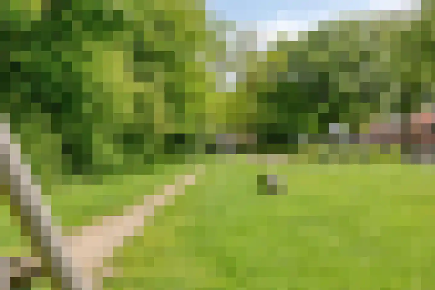 Rosmolenplein 61 Tilburg thumbnail 56