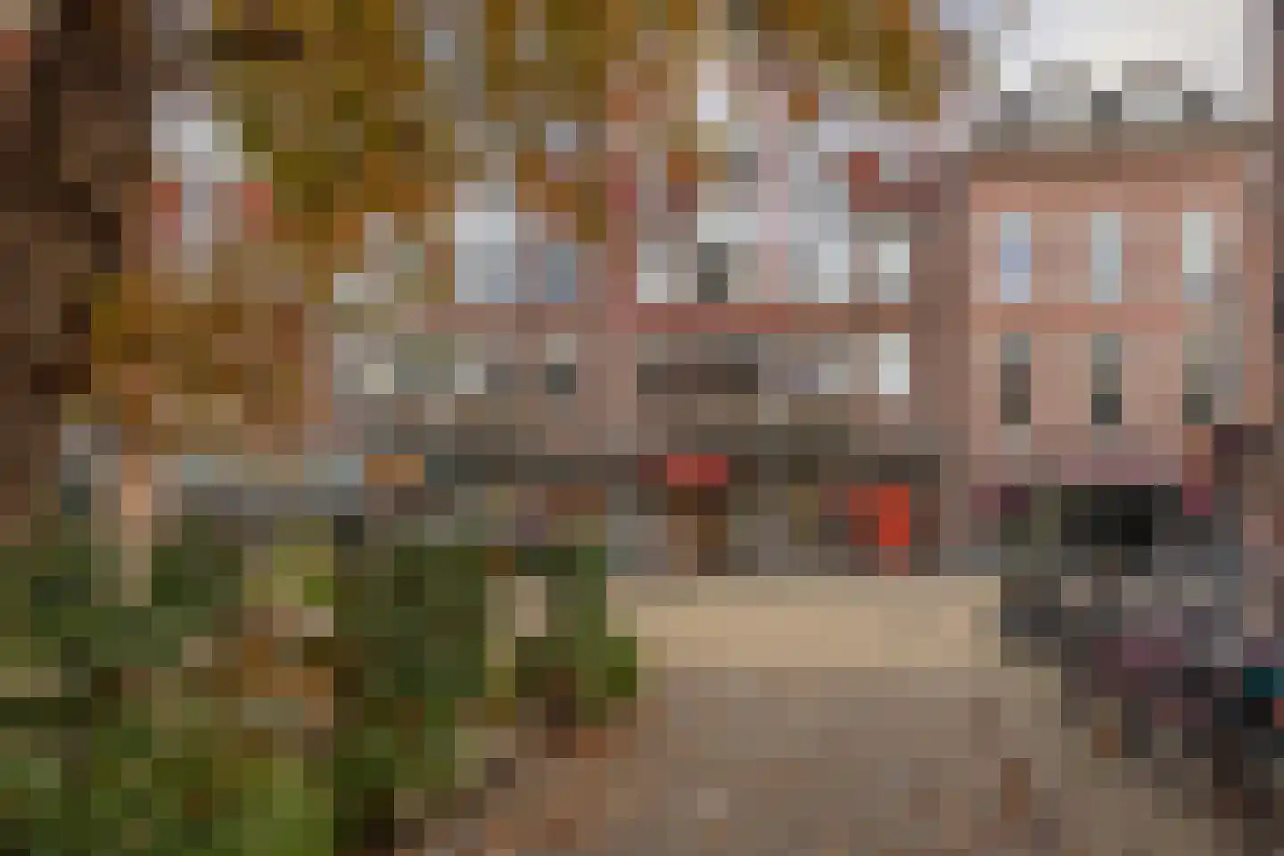 Rosmolensteeg 46 Gorinchem thumbnail 4