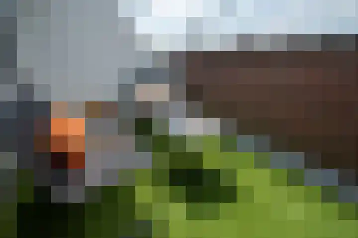 Rosmolensteeg 70 Gorinchem thumbnail 10