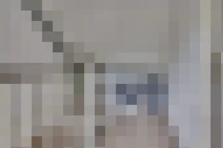 Rosmolenstraat 107 Leusden thumbnail 21