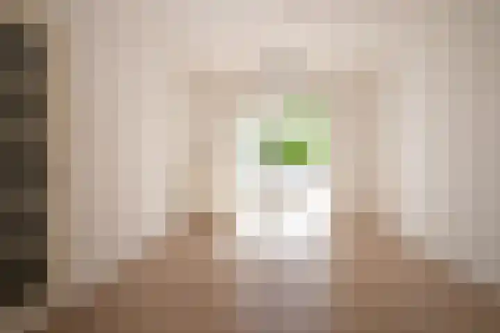 Rosmolenstraat 12 A Sittard thumbnail 10