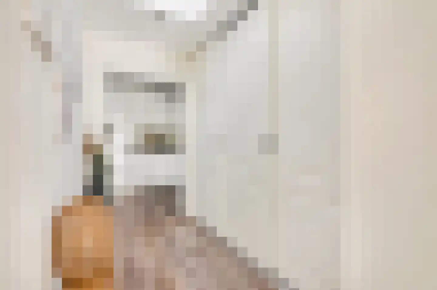 Rosmolenstraat 19 Angeren thumbnail 15