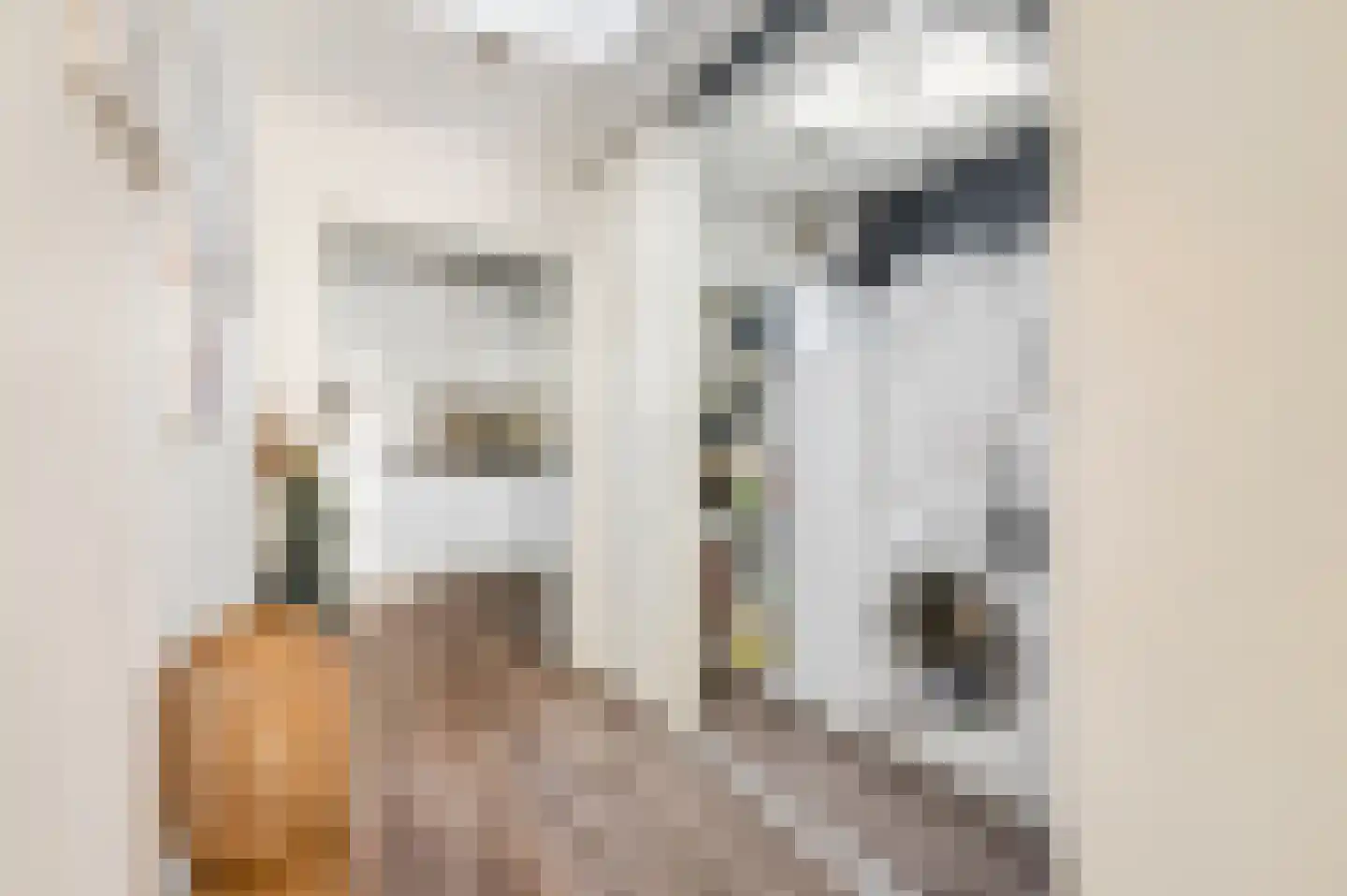 Rosmolenstraat 19 Angeren thumbnail 16