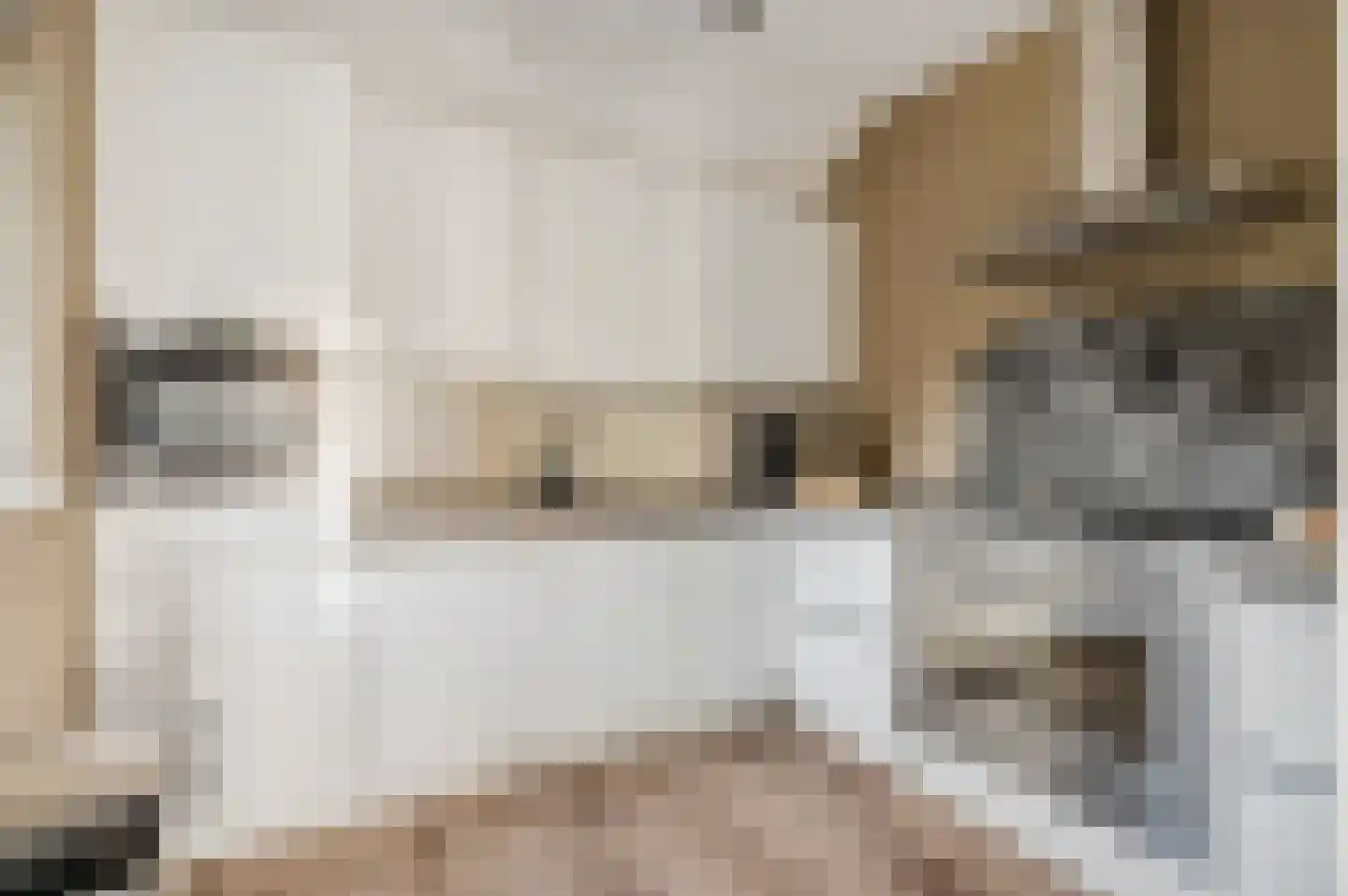 Rosmolenstraat 19 Angeren thumbnail 17