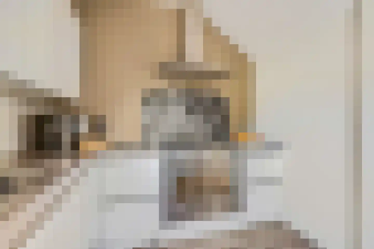 Rosmolenstraat 19 Angeren thumbnail 18