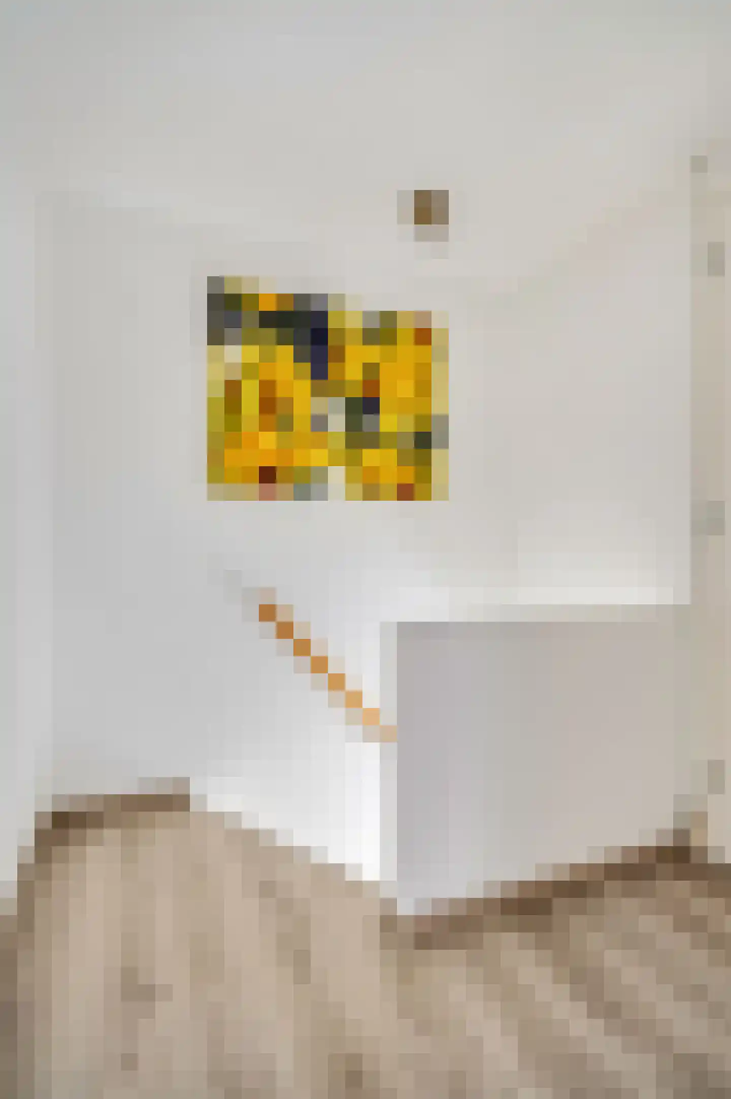 Rosmolenstraat 19 Angeren thumbnail 21